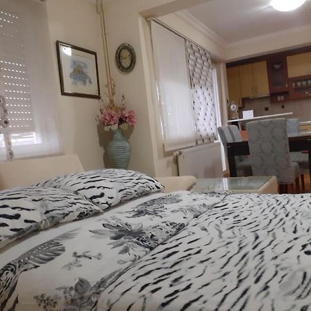 Spacious 80M2 Apartment In The Center يوبوسكي المظهر الخارجي الصورة